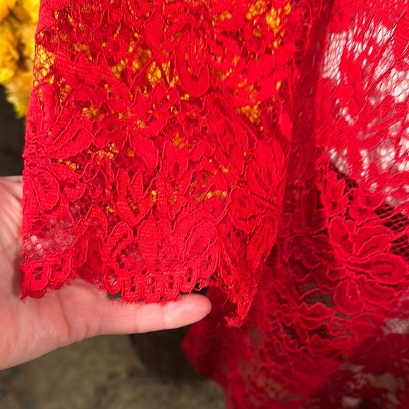 Elegant Red Lace Mini Dress - Picture 6 of 11